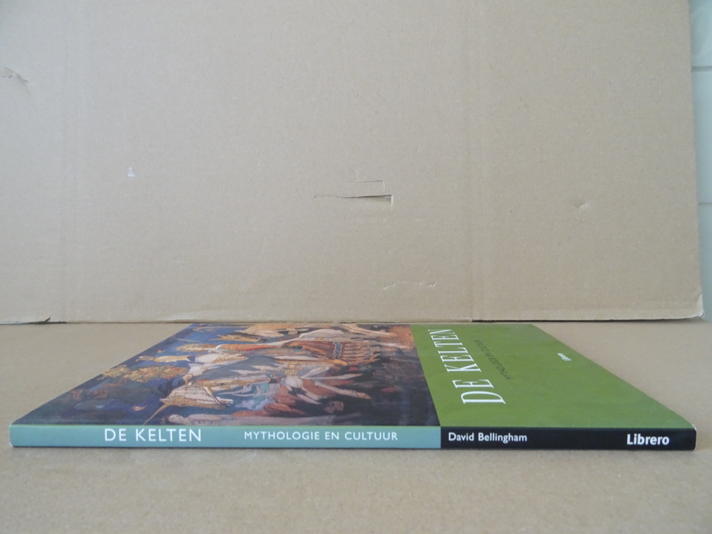 De Kelten Mythologie en Cultuur - Afbeelding 27