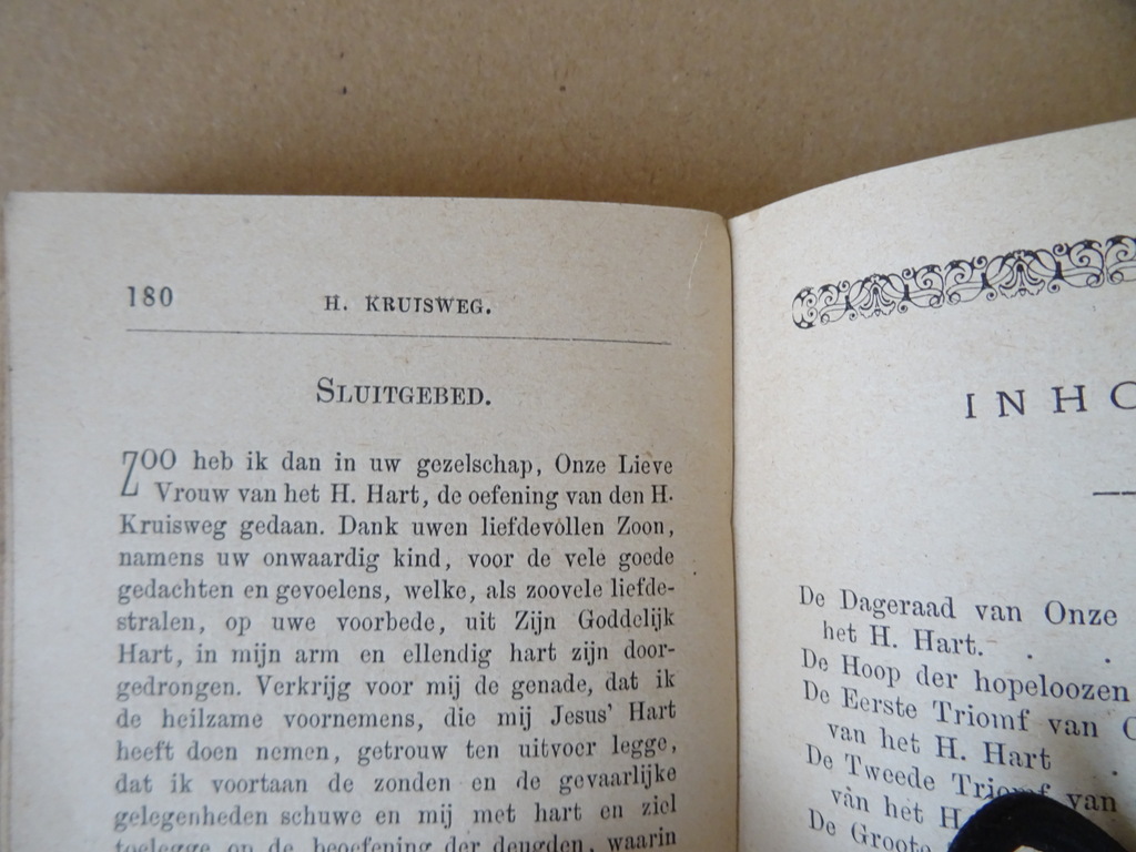 De Hoop der Hopelozen of Onze Lieve Vrouw van het Heilig Hart - Afbeelding 17