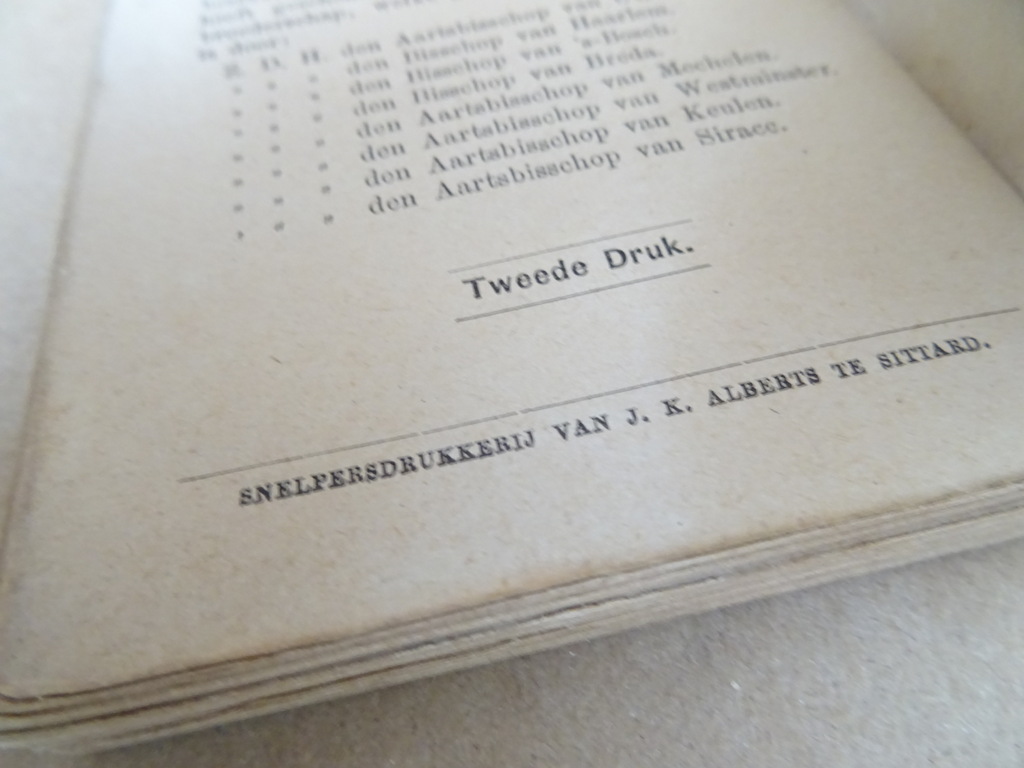 De Hoop der Hopelozen of Onze Lieve Vrouw van het Heilig Hart - Afbeelding 24