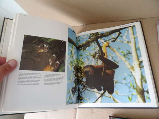 Collectie Time-Life De Amazone Borneo De Himalaja