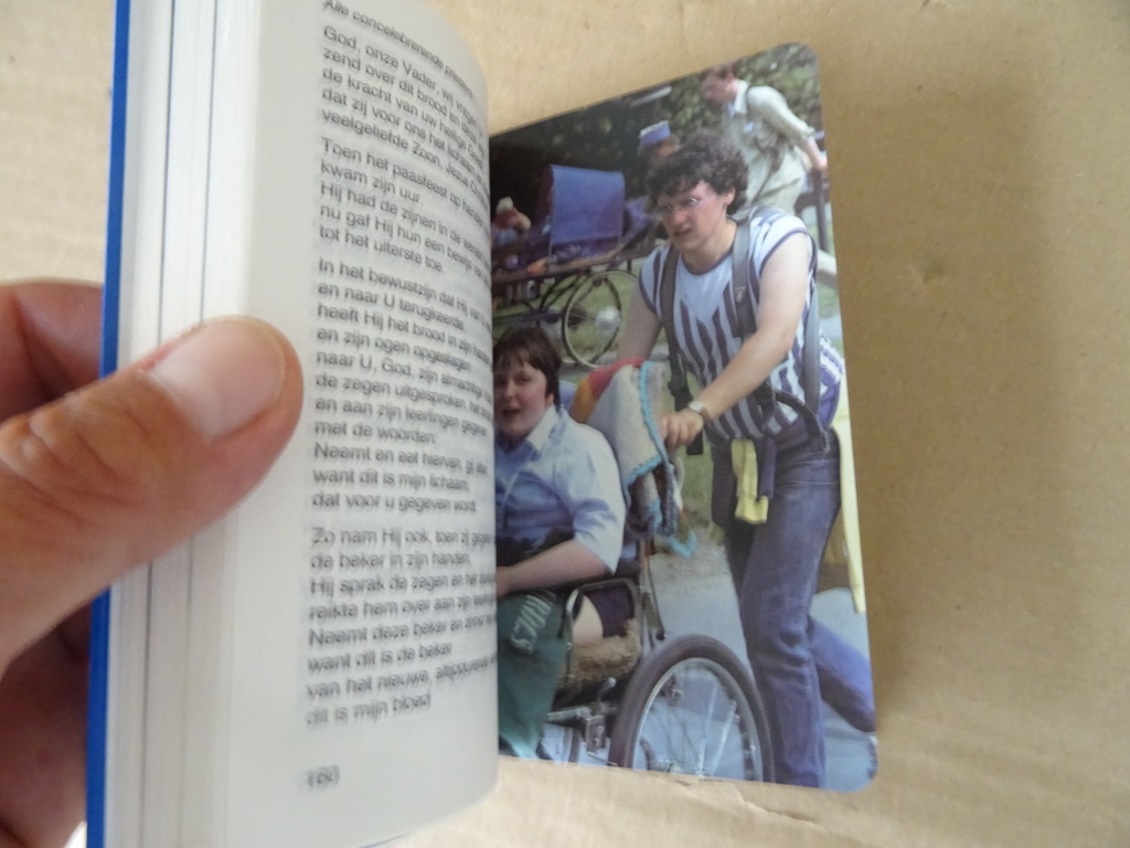 Bedevaartgids Lourdes 1988 - Afbeelding 13