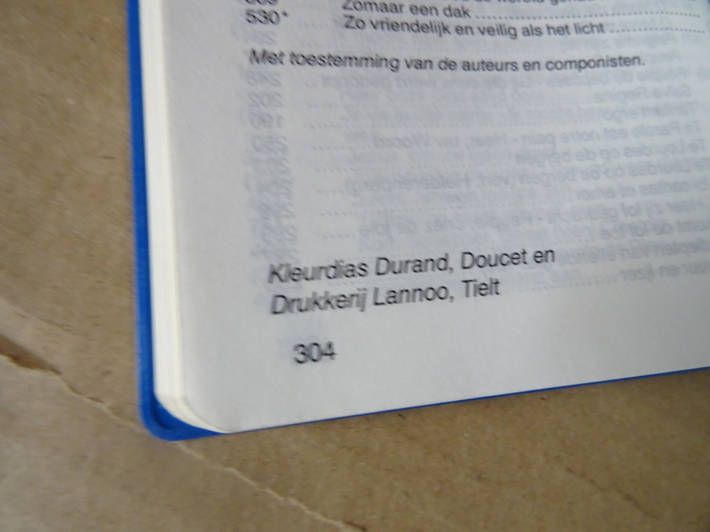 Bedevaartgids Lourdes 1988 - Afbeelding 16