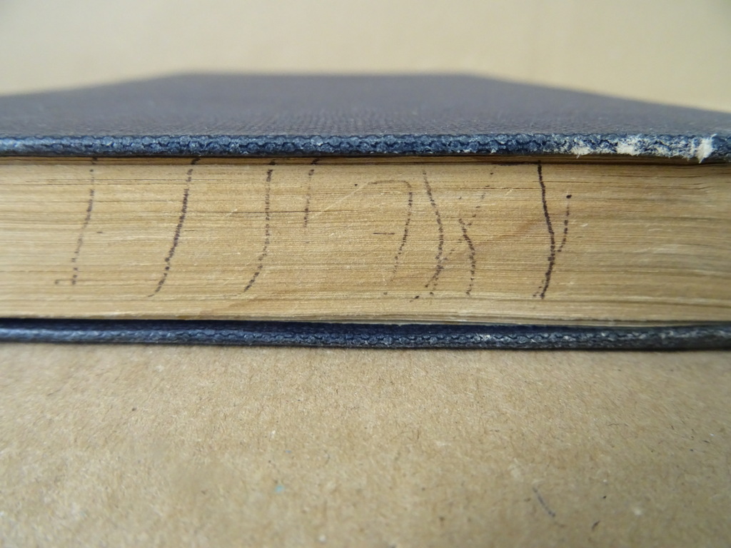 De leer der kerk Vertaling - Afbeelding 14
