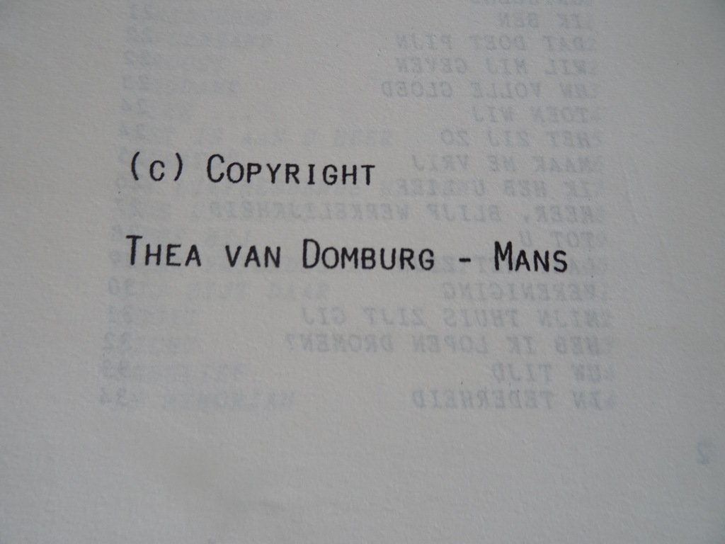 Thea van Domburg-Mans Bidden is thuiskomen - Afbeelding 6