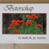 Roelof Posthuma Beterschap is wat ik je wens