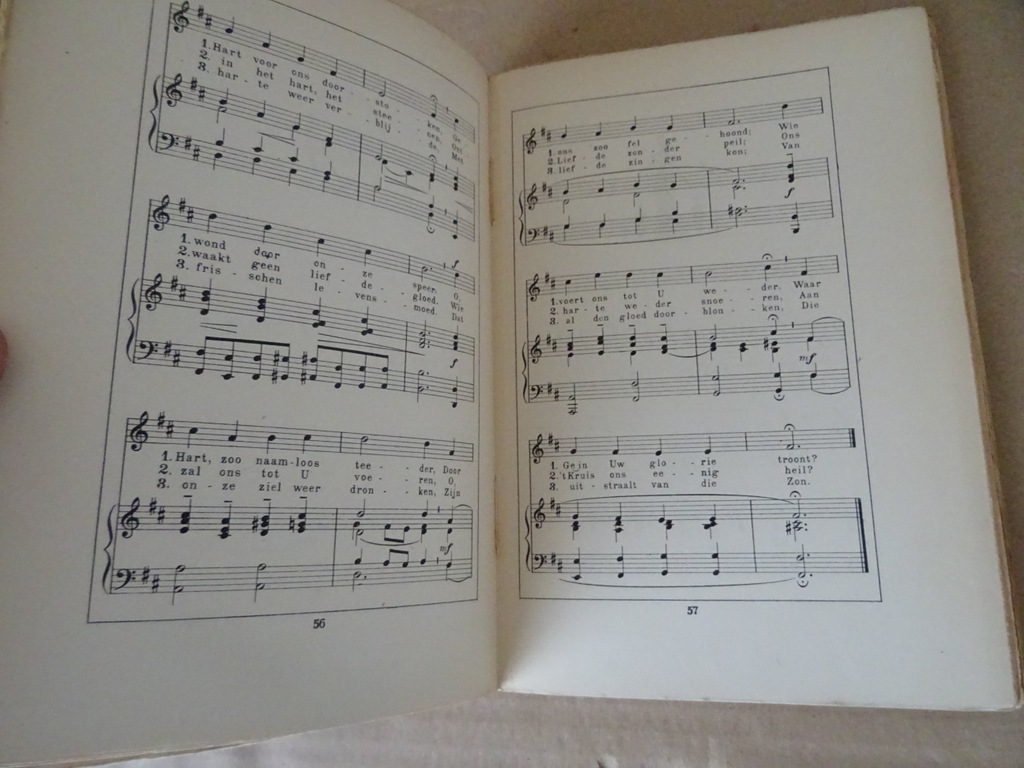 Theo van der Bijl Jubilate Verzameling van oude en nieuwe Geestelijke liederen - Afbeelding 11