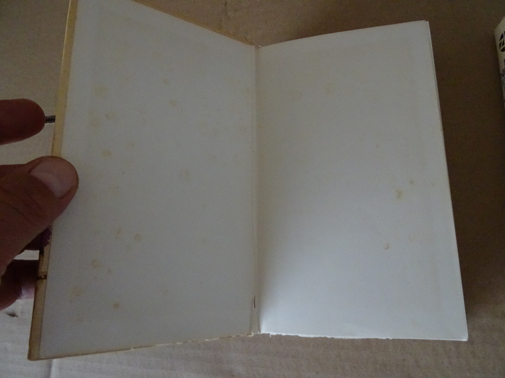 De Nieuwe Kinderbijbel in kleuren - Afbeelding 3