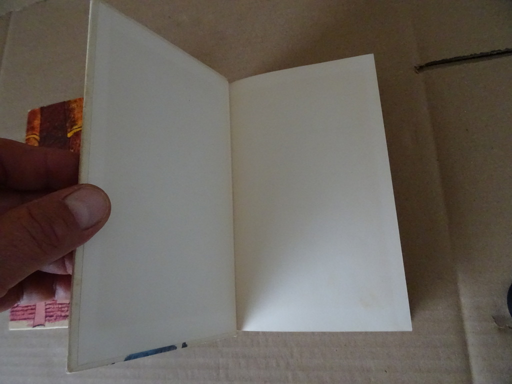 De Nieuwe Kinderbijbel in kleuren - Afbeelding 19