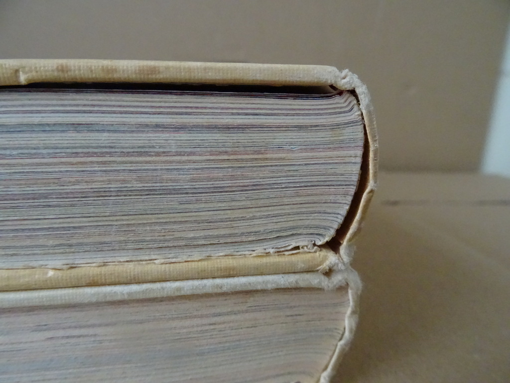 De Nieuwe Kinderbijbel in kleuren - Afbeelding 28