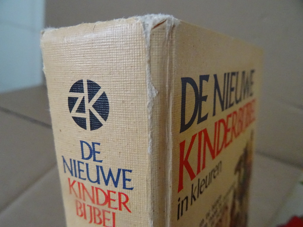 De Nieuwe Kinderbijbel in kleuren - Afbeelding 32