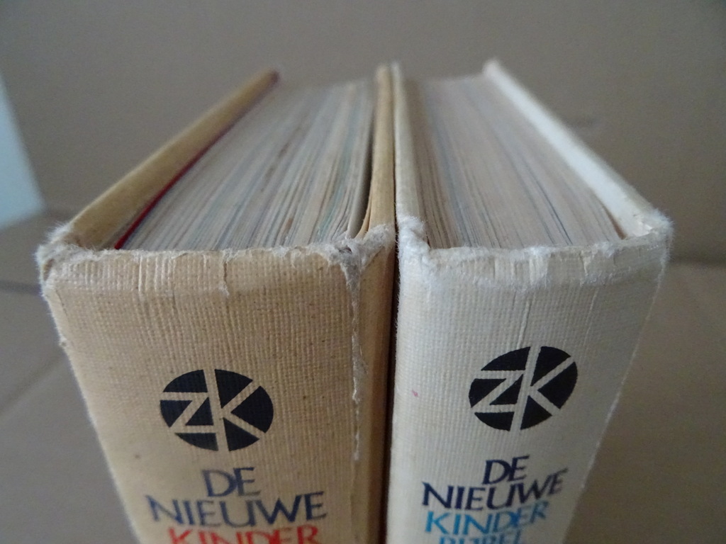 De Nieuwe Kinderbijbel in kleuren - Afbeelding 33