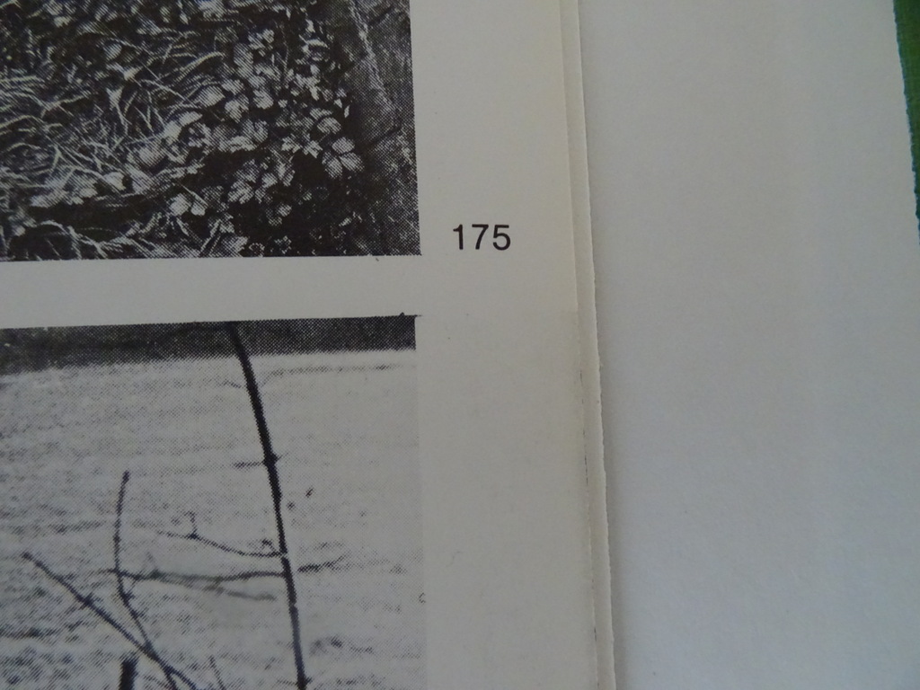 Jac. van Term Mijn Geuldal - Afbeelding 18