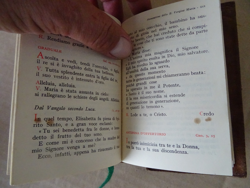 Messale Romane festivo edizioni Paoline - Afbeelding 19