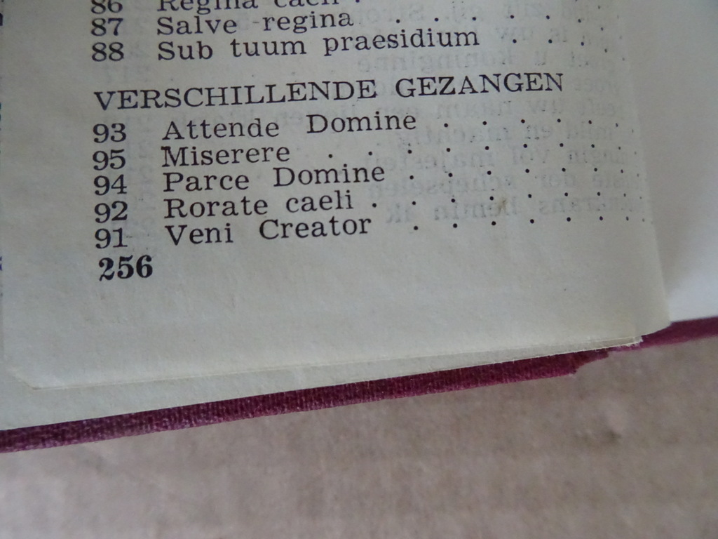 Th. Sinnige Pr. en H.B. Lauwaert Pr. Door Christus onze Heer - Afbeelding 18