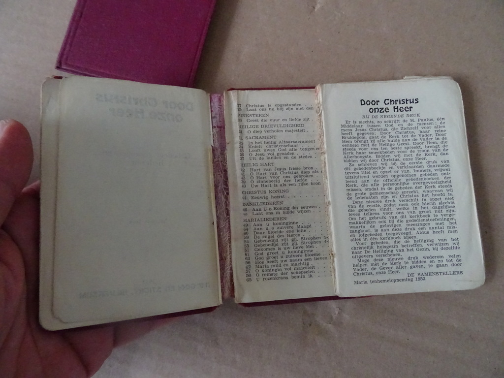 Th. Sinnige Pr. en H.B. Lauwaert Pr. Door Christus onze Heer - Afbeelding 29