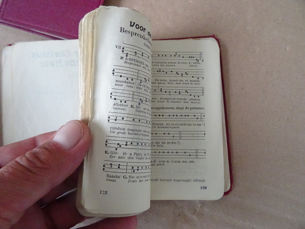 Th. Sinnige Pr. en H.B. Lauwaert Pr. Door Christus onze Heer - Afbeelding 31