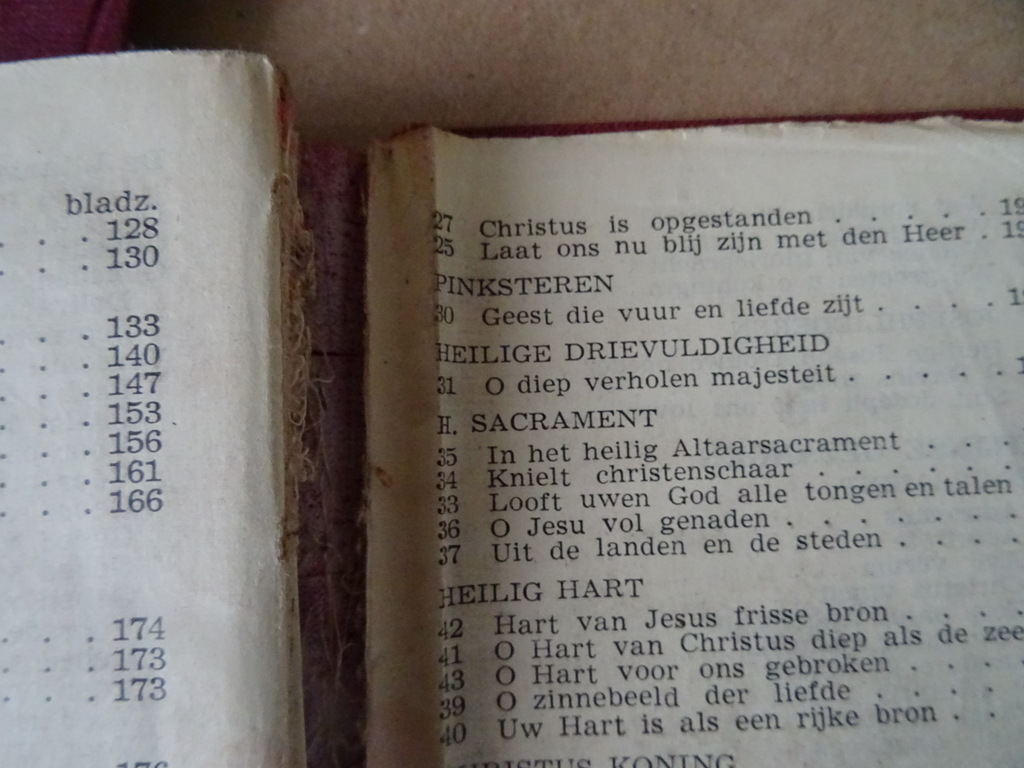 Th. Sinnige Pr. en H.B. Lauwaert Pr. Door Christus onze Heer - Afbeelding 33