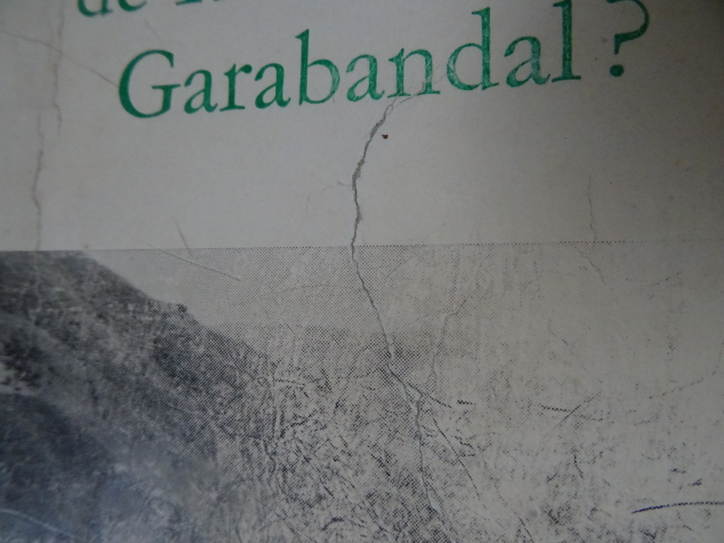 F. Sanchez-Ventura Y Pascual Verscheen de H. Maagd te Garabandal? - Afbeelding 7