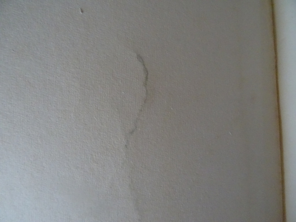 F. Sanchez-Ventura Y Pascual Verscheen de H. Maagd te Garabandal? - Afbeelding 9