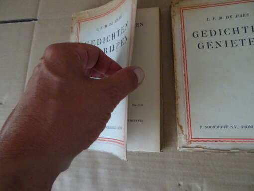 L. F. M. de Haes Gedichten begrijpen Gedichten genieten