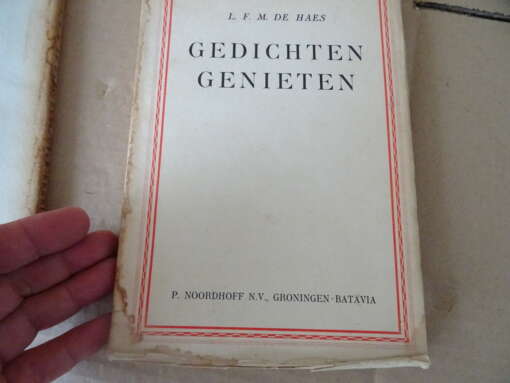 L. F. M. de Haes Gedichten begrijpen Gedichten genieten