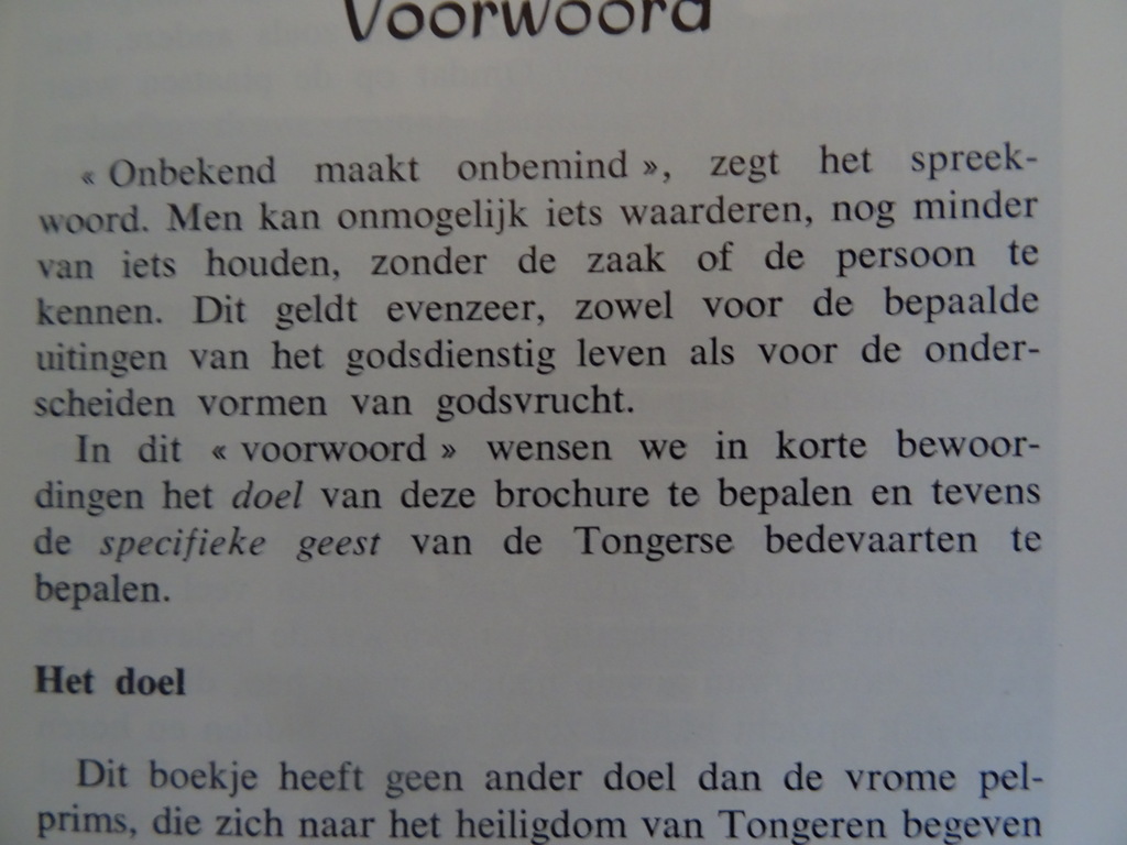 Pater André Bruneel Het Kind Jezus van Praag en Zijn verering - Afbeelding 6