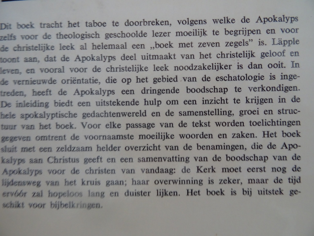Alfred Läppie De Apokalyps van Johannes - Afbeelding 17