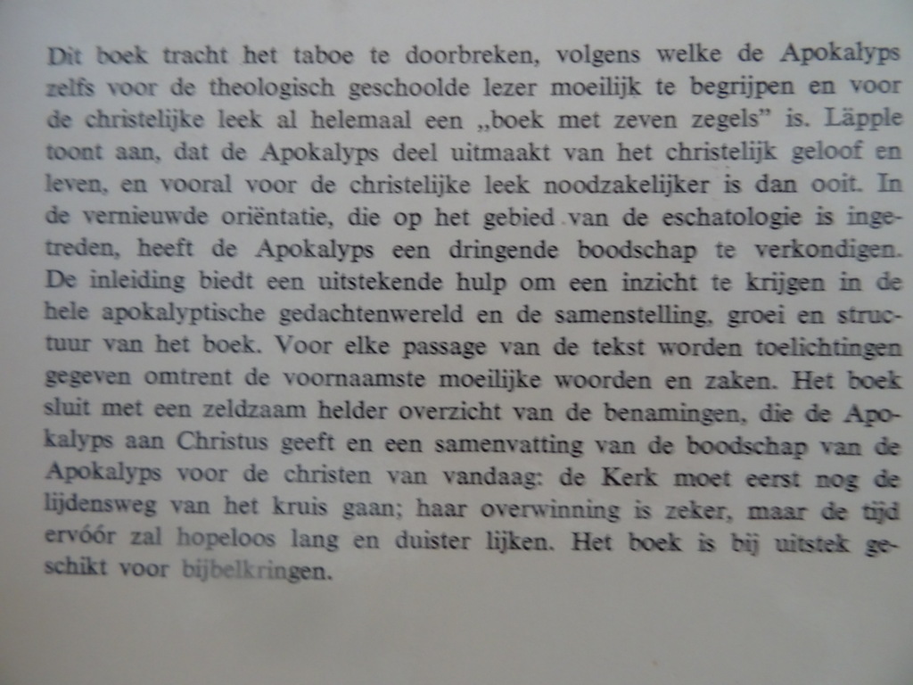 Alfred Läppie De Apokalyps van Johannes - Afbeelding 18