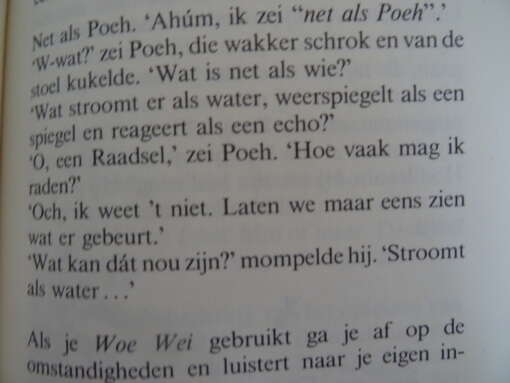 Benjamin Hoff Tao van Poeh