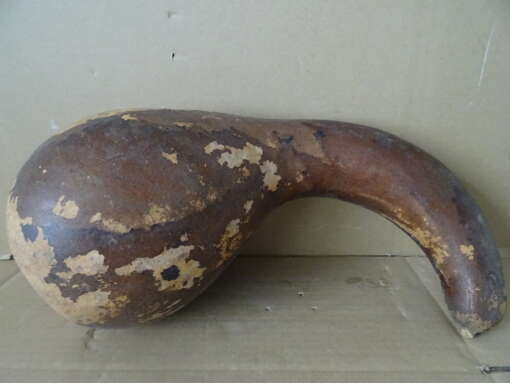 Grote Afrikaanse kalebas 38cm