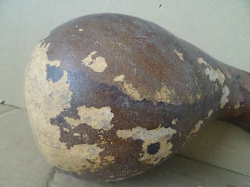 Grote Afrikaanse kalebas 38cm