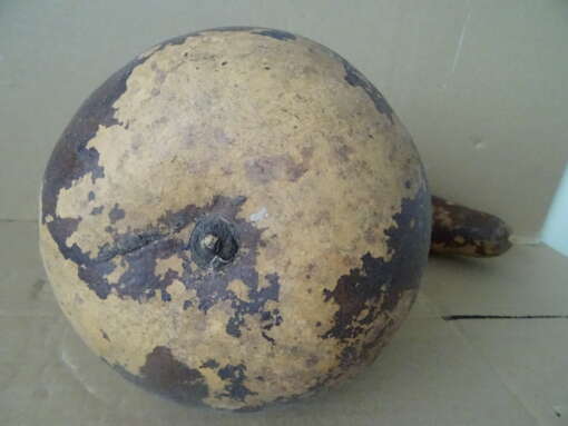 Grote Afrikaanse kalebas 38cm