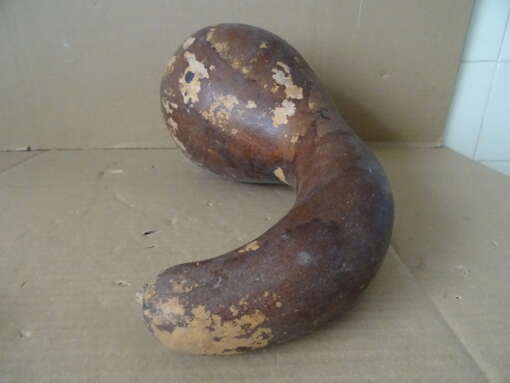 Grote Afrikaanse kalebas 38cm