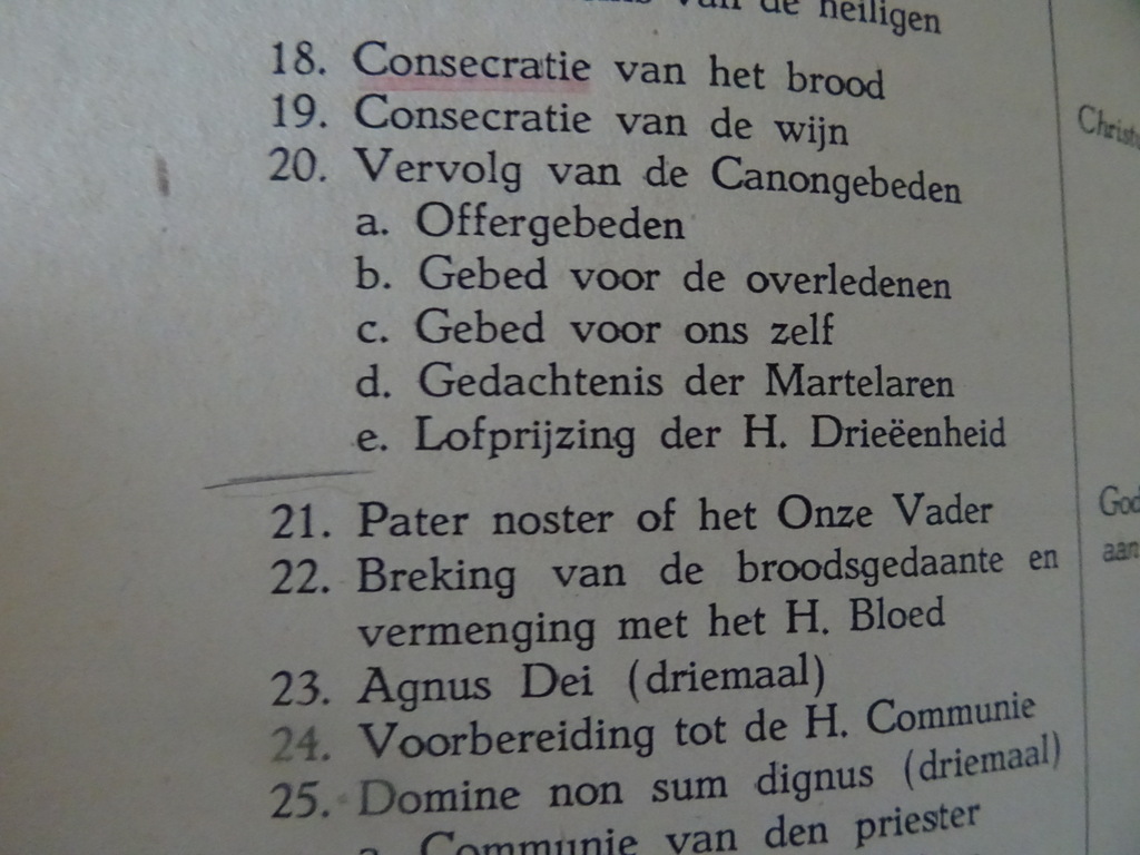 J. van Dael pr. Ons geloof de wet van ons leven - Afbeelding 13