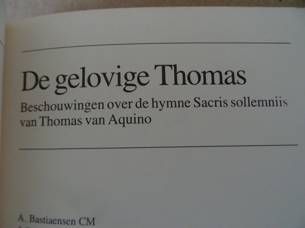 De gelovige Thomas Beschouwingen over de hymne Sacris Solemniis - Afbeelding 6