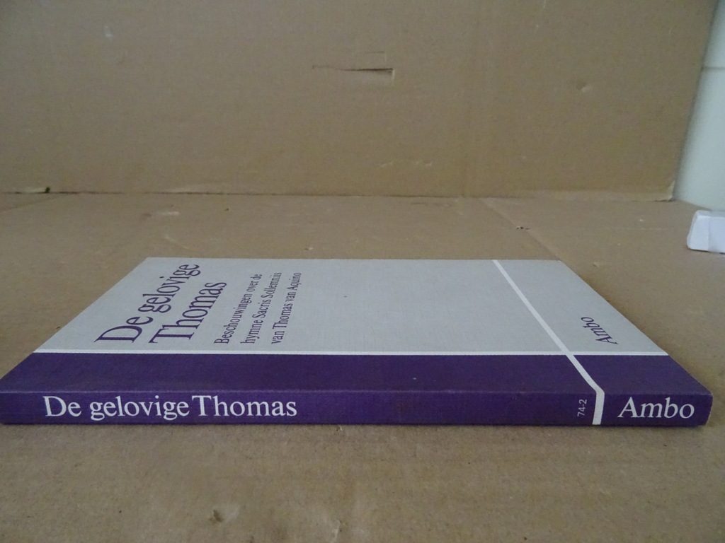 De gelovige Thomas Beschouwingen over de hymne Sacris Solemniis - Afbeelding 18