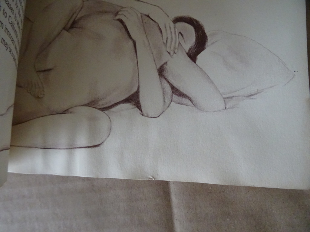 Dan Abelow Total Sex An illustrated guide Dan Abelow Total Sex An illustrated guide