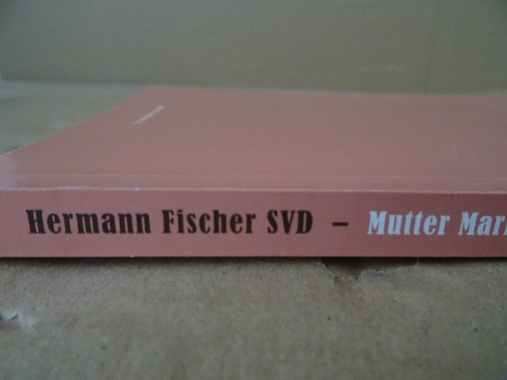 Herman Fischer SVD Mutter Maria Michaele Tönnies - Afbeelding 23
