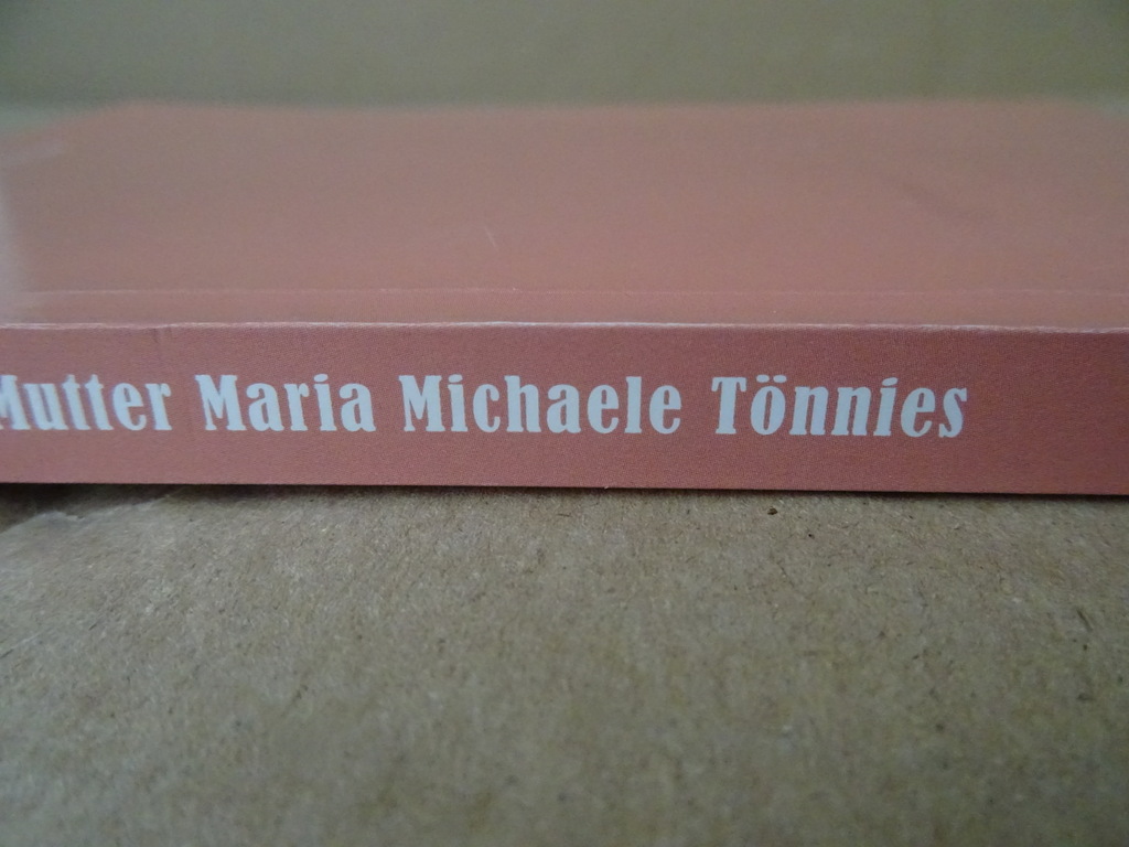 Herman Fischer SVD Mutter Maria Michaele Tönnies - Afbeelding 24