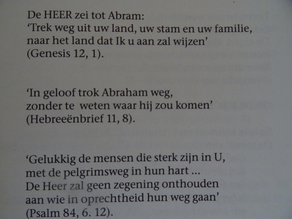 Piet Stevens Naar een wijd land doet gij mij uitgaan - Afbeelding 6