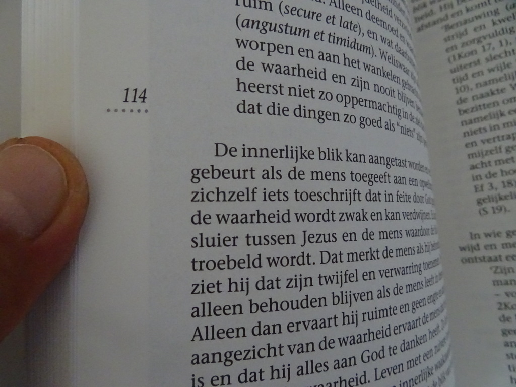 Piet Stevens Naar een wijd land doet gij mij uitgaan - Afbeelding 10