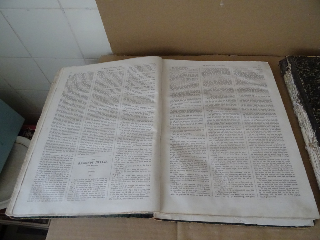 Katholieke Illustratie 1880-1881 en 1889/90 Katholieke Illustratie 1880-1881 en 1889/90