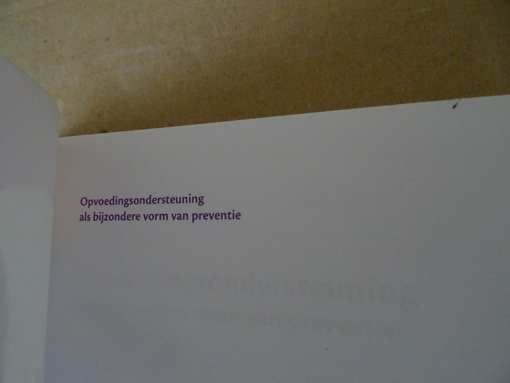 Marga Burggraaff-Huiskes Opvoedingsondersteuning - Afbeelding 4
