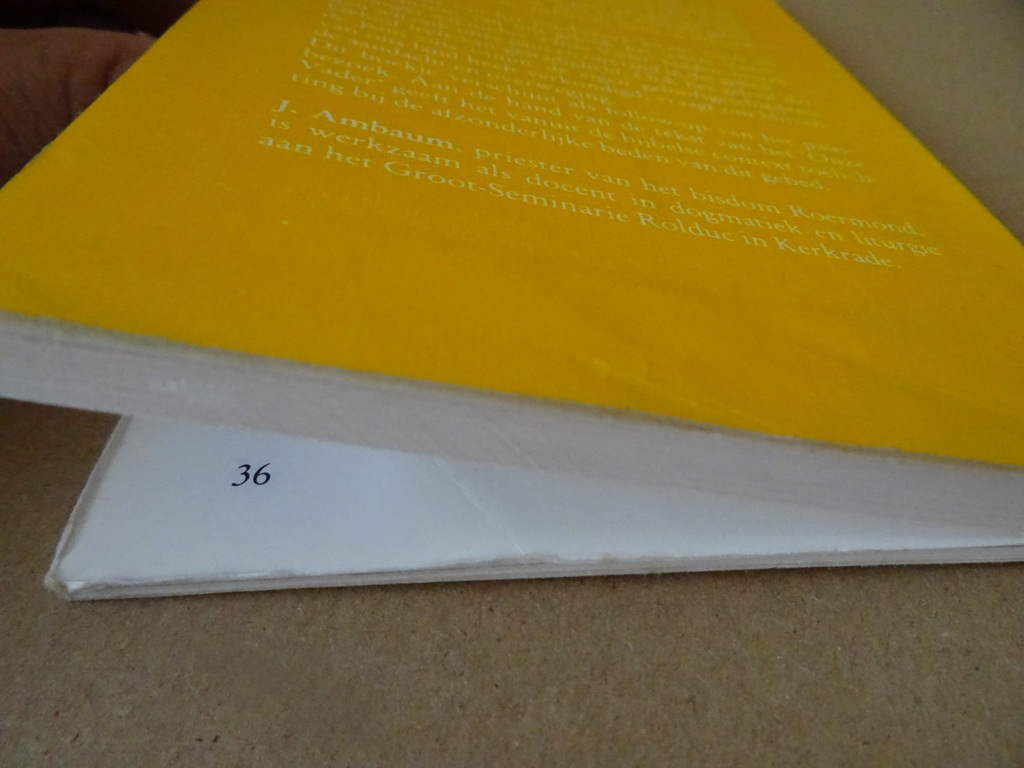 Dr. J. Ambaum Het gebed des Heren Dr. J. Ambaum Het gebed des Heren