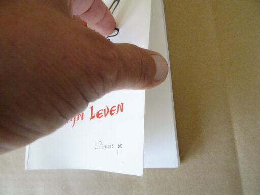 Alternative view of L. Pirenne pr. Gods greep in mijn leven