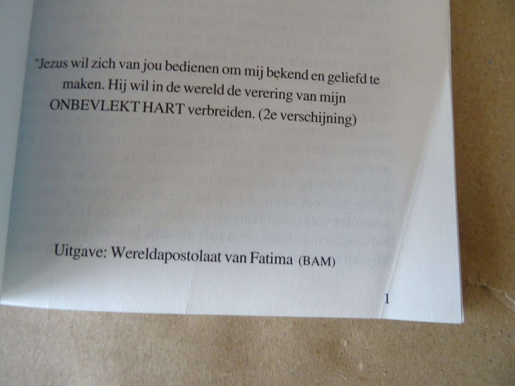Gebeden en Oefeningen ter ere van O.L. Vrouw van Fatima - Afbeelding 31