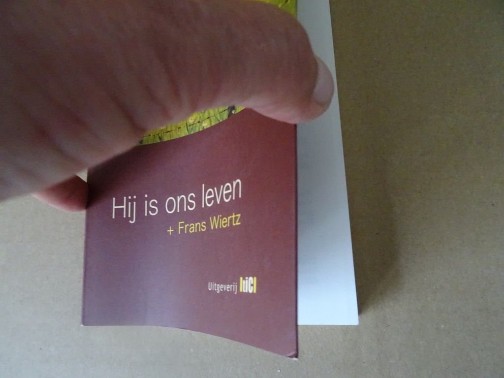 Frans Wiertz Hij is ons leven - Afbeelding 2