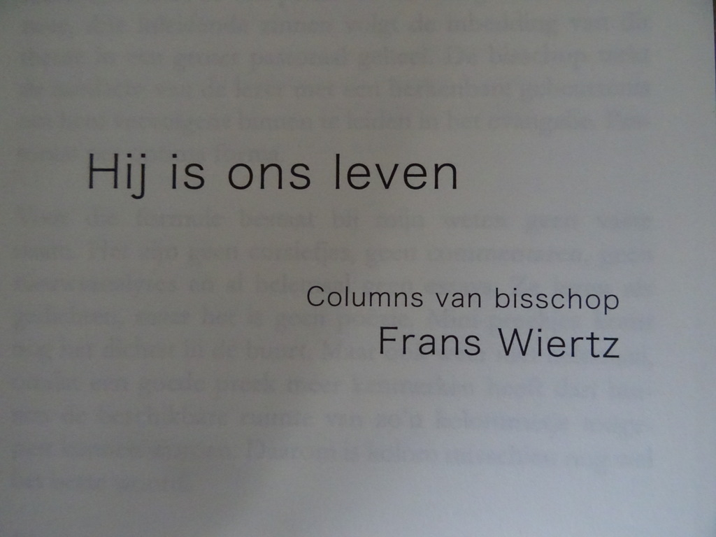 Frans Wiertz Hij is ons leven - Afbeelding 6