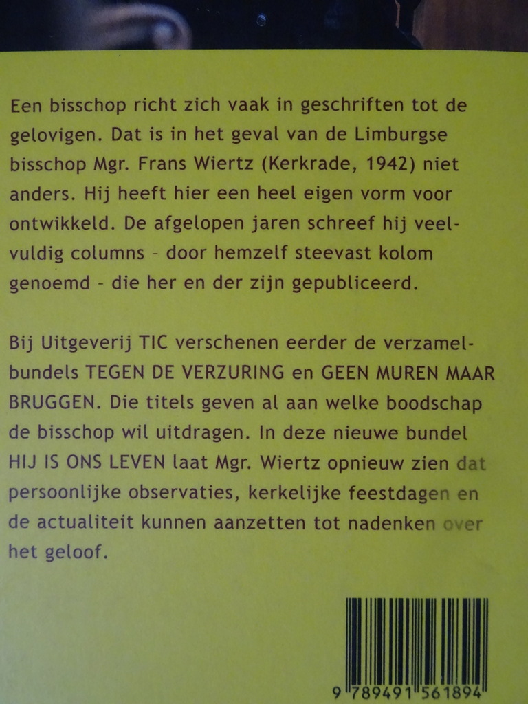 Frans Wiertz Hij is ons leven - Afbeelding 13