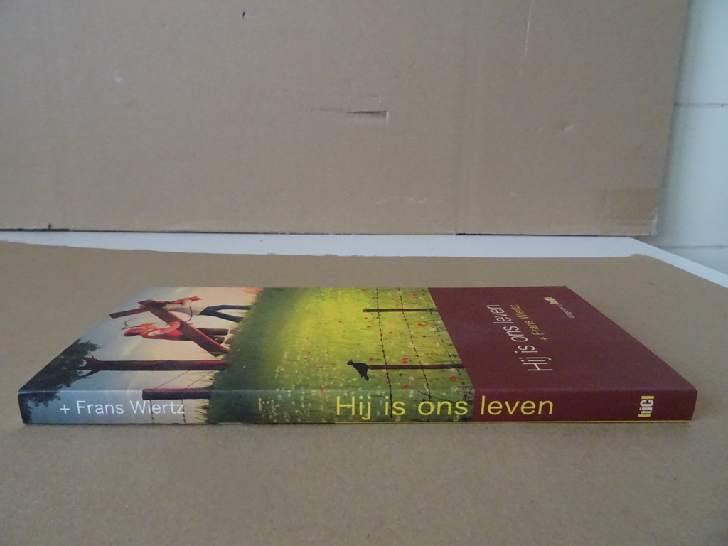 Frans Wiertz Hij is ons leven - Afbeelding 16